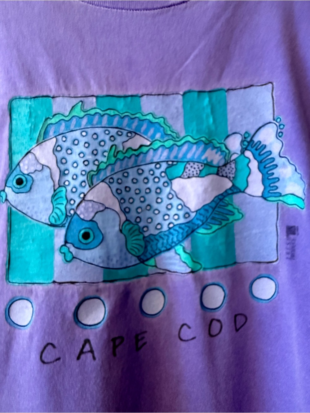 Vintage 90s Fresh Produce Cape Cod Graphic Tee - One Size